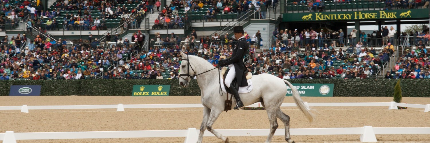 Equestrian Horse1