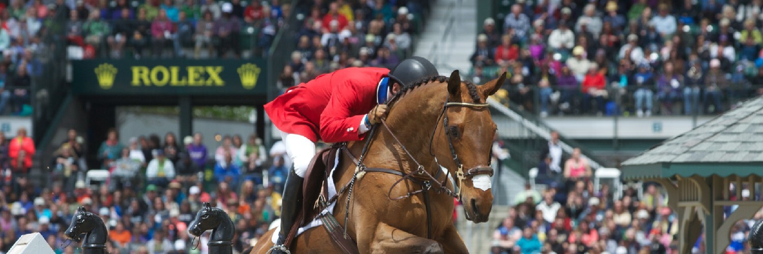 Equestrian Horse Jumping Photo