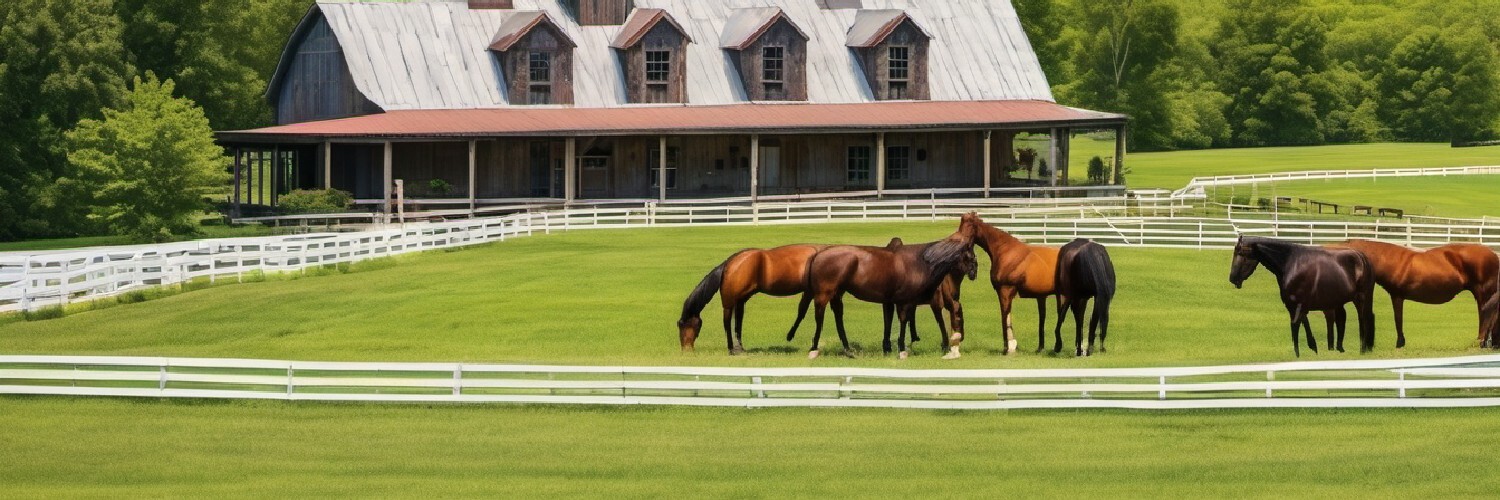 Horses with Barn in Background